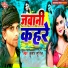 Kumar Sunil