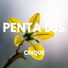 Penta Djs