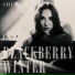 sheyda