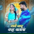 Silpa Bidawat, Salim Shekhawas