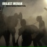 MERAK balkan block party