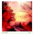 Axel Bright