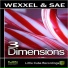 Wexxel & Sae