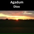Agadum