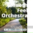 Smooth Feel Orchestra