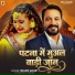 Shashi Anrai