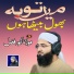 Molana Anwar Fazal