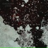 EVACIGANA