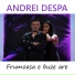 Andrei Despa