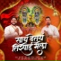 Dravesh Patil, Bhushan Meher