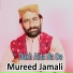 Mureed Jamali