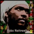 Bobo Nattywell
