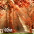 Red Forest