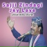 Zaheer Mangi Master