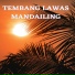 Thomas Djordhi feat. Ficky Tanjung