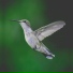 mockfly