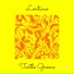 Turtle Groove