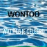Wontoo
