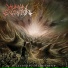 Human Excoriation