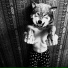 LOLAWOLF