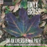 Onyx Brass