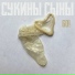 SUKINY SYNY