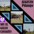 Augusto Piñango