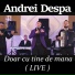 Andrei Despa