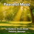Meditation Music, Relaxing Music, Yoga