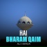 Ali Hamza