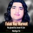 Falak Naz Marwat
