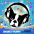 Snarky Puppy feat. Innov Gnawa