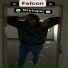 Falcon