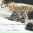 RelaxMyCat, Cat Music Dreams, Cat Music Therapy