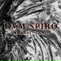 Dvm Spiro