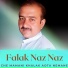falak Naz Naz