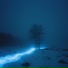 wintercat