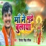 Nitesh Singh Rasik