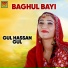 Gul Hassan Gul