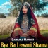 Damsaaz Marwat
