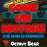 Octavy Bear