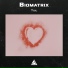 Biomatrix