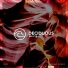 Deciduous