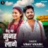 Vinay Vikash