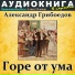 Аудиокнига в кармане, Максим Доронин