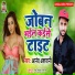 Anand Ashwani