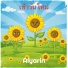 Aiyarin