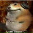 L1ME