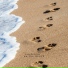 Footsteps on the Beach