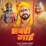 Shashi Anari